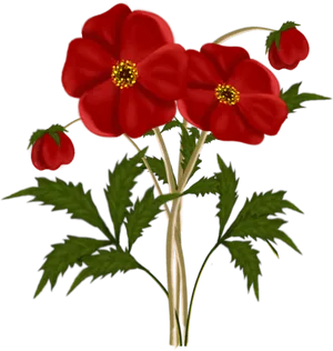 Vibrant Red Flowers Illustration PNG Image