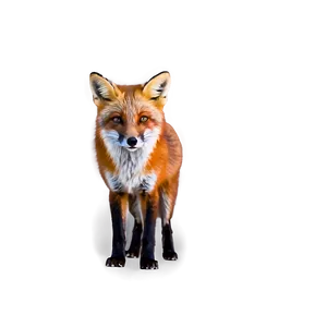 Vibrant Red Fox Png 53 PNG Image