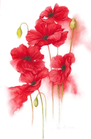 Vibrant Red Poppies Artwork PNG Image