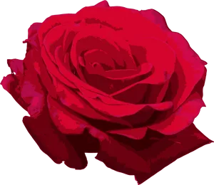 Vibrant Red Rose Graphic PNG Image