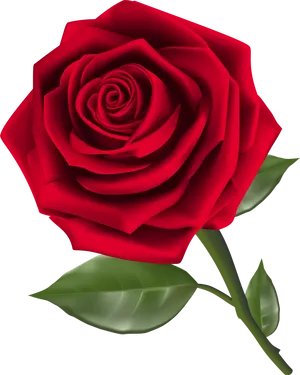 Vibrant Red Rose Graphic PNG Image