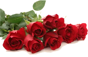 Vibrant_ Red_ Roses_ Bouquet.png PNG Image