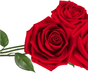 Vibrant Red Roses Graphic PNG Image