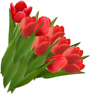 Vibrant Red Tulips Bouquet PNG Image