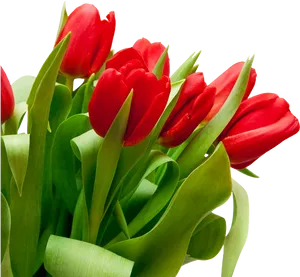 Vibrant Red Tulips Bouquet PNG Image