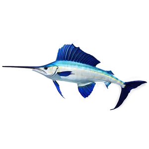 Vibrant Sailfish Picture Png Hvx PNG Image