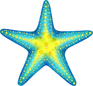 Vibrant Starfish Clipart PNG Image