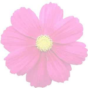 Vibrant Summer Bloom PNG Image