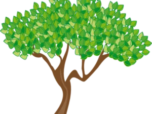 Vibrant Summer Tree Clipart PNG Image