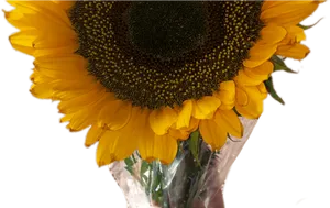 Vibrant Sunflower Bouquet.png PNG Image