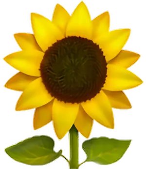 Vibrant Sunflower Graphic PNG Image