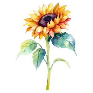 Vibrant Sunflower Watercolor Graphic Png 06272024 PNG Image