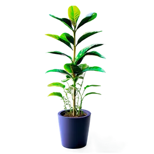 Vibrant Tall Plant Png 13 PNG Image