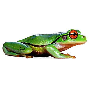 Vibrant Tree Frog Png 91 PNG Image