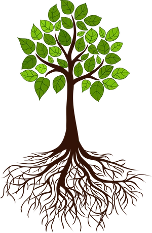 Vibrant Tree Silhouettewith Roots PNG Image