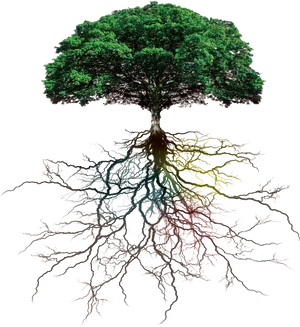 Vibrant Treewith Colorful Roots PNG Image