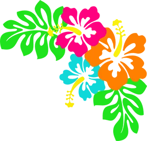 Vibrant Tropical Floral Graphic PNG Image