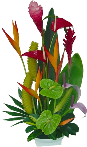 Vibrant Tropical Flower Arrangement.png PNG Image