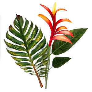 Vibrant Tropical Plants Png Hqy PNG Image