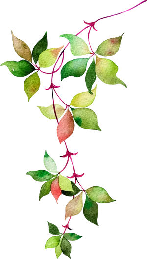 Vibrant Vine Leaves Against Black Background PNG Image