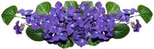 Vibrant Violet Flowers Cluster PNG Image