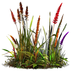 Vibrant Wild Grass Png 06292024 PNG Image