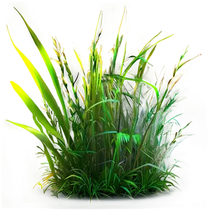 Vibrant Wild Grass Png Oht PNG Image