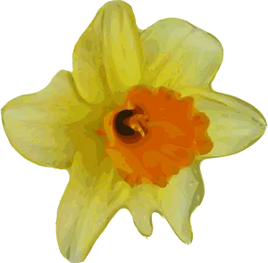 Vibrant Yellow Daffodil Illustration PNG Image