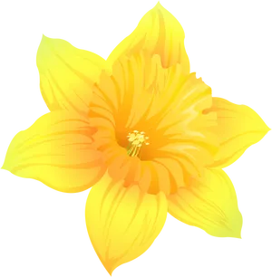 Vibrant Yellow Daffodil Illustration PNG Image