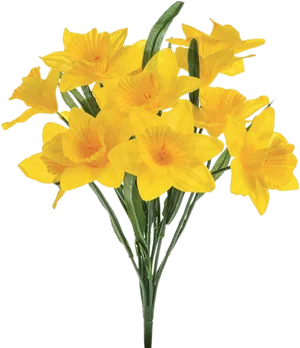 Vibrant Yellow Daffodils Bouquet PNG Image