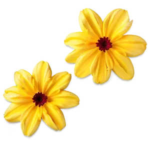 Vibrant Yellow Flowers Png 06122024 PNG Image