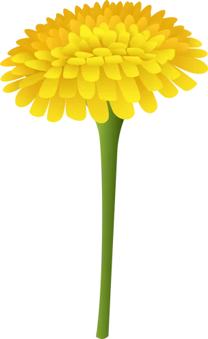 Vibrant Yellow Marigold Graphic PNG Image