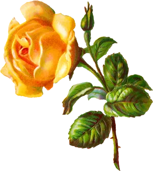 Vibrant_ Yellow_ Rose_ Illustration.png PNG Image