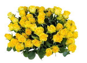 Vibrant Yellow Roses Bouquet PNG Image