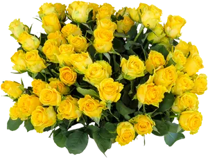 Vibrant Yellow Roses Bouquet PNG Image