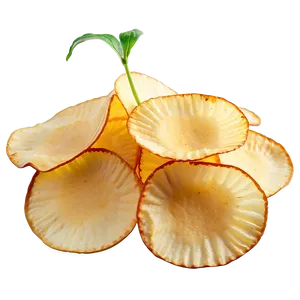 Vinegar Potato Chips Png 85 PNG Image