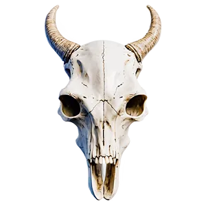 Vintage Animal Skull Graphic Png 06282024 PNG Image