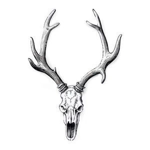 Vintage Antler Drawing Png Kvi84 PNG Image