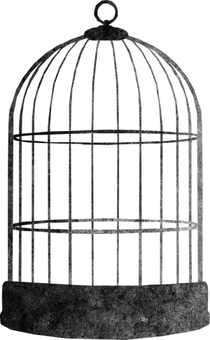 Vintage Bird Cage Graphic PNG Image