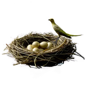 Vintage Bird Nest Png Mha PNG Image