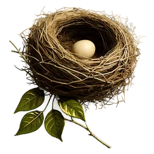 Vintage Bird Nest Png Qyh PNG Image