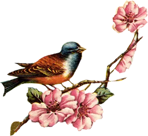 Vintage Birdand Pink Flowers Illustration PNG Image