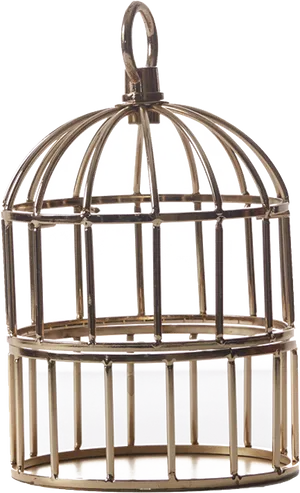 Vintage Birdcage Design PNG Image