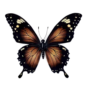 Vintage Black Butterfly Png Xyc PNG Image