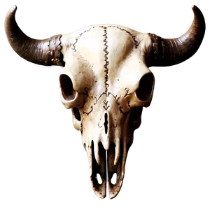 Vintage Bull Skull Drawing Png 46 PNG Image