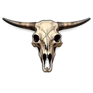 Vintage Bull Skull Drawing Png Wcb94 PNG Image