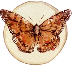 Vintage Butterfly Illustration PNG Image