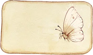 Vintage Butterfly Sketch PNG Image