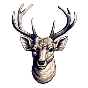 Vintage Deer Head Engraving Png Ydw PNG Image