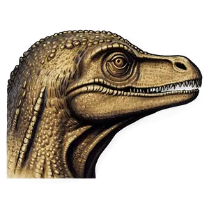 Vintage Dinosaur Head Engraving Png 06292024 PNG Image